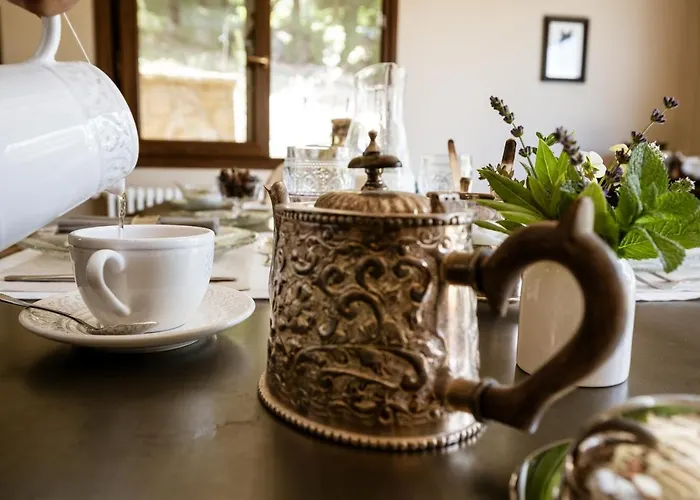 Casa de Férias Donna Carolina Luxury *